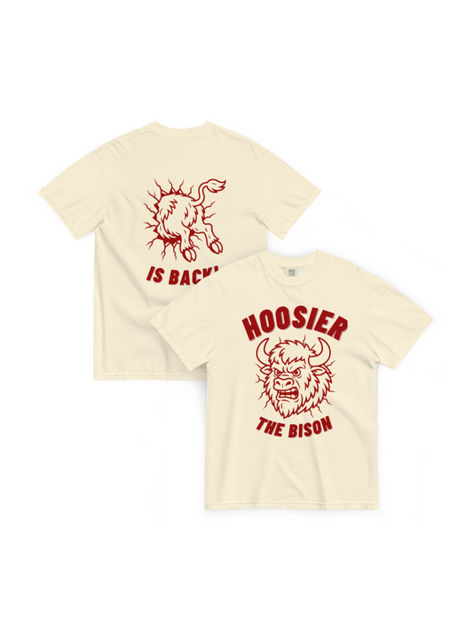bison iu tshirt
